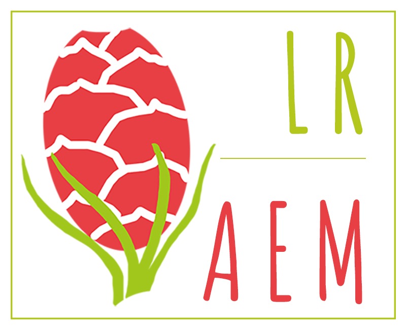 Logo LR AEM grand
